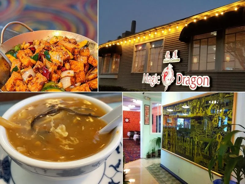 Magic Dragon Asian Cuisine business photo
